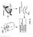 Fig. 06 - Method and system for providing therapy for neuropsychiatric and neurological disorders utilizing transcranical magnetic stimulation and pulsed electrical vagus nerve(s) stimulation
