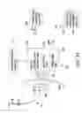 Fig. 44 - Method and system for providing therapy for neuropsychiatric and neurological disorders utilizing transcranical magnetic stimulation and pulsed electrical vagus nerve(s) stimulation