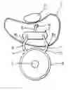 Fig. 01 - Cochlear implant package