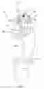 Fig. 03 - Prosthetic knee mechanism
