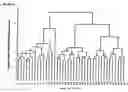 Fig. 17 - Common protein surface shapes and uses therefor