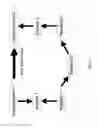 Fig. 11 - Method, system and apparatus for assembling and using biological knowledge