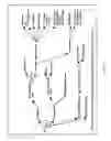 Fig. 13 - Method, system and apparatus for assembling and using biological knowledge