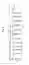 Fig. 06 - System and method of identifying individuals of influence