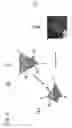 Fig. 02 - Three-dimensional microstructures