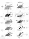 Fig. 03 - Three-dimensional microstructures