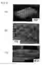 Fig. 10 - Three-dimensional microstructures