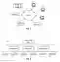 Fig. 02 - Extended work program