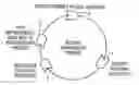 Fig. 01 - System for processing and consolidating records