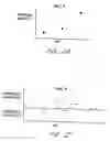 Fig. 41 - Computerized medical diagnostic and treatment advice system