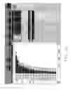 Fig. 40 - Transactional data collection, compression, and processing information management system