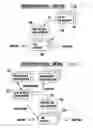 Fig. 08 - Pipeline architecture for data summarization