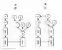 Fig. 14 - Manipulating schematized data in a database