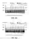 Fig. 13 - Methods and systems for adaptive delivery of multimedia contents
