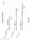 Fig. 23 - Method and system to automatically regenerate software code