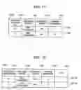 Fig. 12 - Information system and data access method