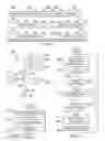 Fig. 04 - Non-invasive discovery of relationships between nodes in a network