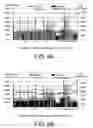 Fig. 12 - Methods and systems for adaptive delivery of multimedia contents