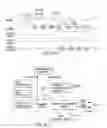 Fig. 43 - Digital device configuration and method
