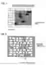 Fig. 03 - Automatic layout method of semiconductor integrated circuit