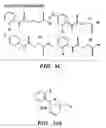 Fig. 12 - Method of screening compounds