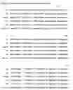 Fig. 15 - Monoclonal antibodies that bind Chemerin polypeptide