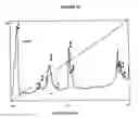 Fig. 17 - Monoclonal antibodies that bind Chemerin polypeptide