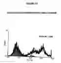 Fig. 20 - Monoclonal antibodies that bind Chemerin polypeptide