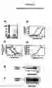 Fig. 29 - Monoclonal antibodies that bind Chemerin polypeptide