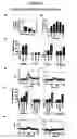 Fig. 35 - Monoclonal antibodies that bind Chemerin polypeptide