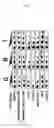 Fig. 03 - Desmin gene having novel point mutation causative of dilated cardiomyopathy