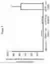 Fig. 08 - Eosinophil-deficient transgenic animals