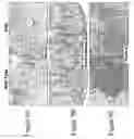 Fig. 12 - Eosinophil-deficient transgenic animals