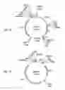 Fig. 10 - Methods for generating lepidopteran-toxic polypeptides