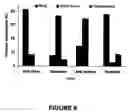 Fig. 09 - Maize cellulose synthases and uses thereof