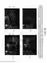 Fig. 16 - Isoforms of eIF-5A: senescence-induced eLF5A; wounding-induced eIF-4A; growth eIF-5A; and DHS
