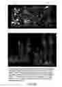 Fig. 23 - Isoforms of eIF-5A: senescence-induced eLF5A; wounding-induced eIF-4A; growth eIF-5A; and DHS