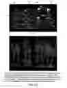 Fig. 28 - Isoforms of eIF-5A: senescence-induced eLF5A; wounding-induced eIF-4A; growth eIF-5A; and DHS