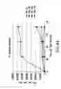 Fig. 45 - Isoforms of eIF-5A: senescence-induced eLF5A; wounding-induced eIF-4A; growth eIF-5A; and DHS