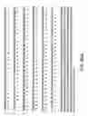 Fig. 47 - Isoforms of eIF-5A: senescence-induced eLF5A; wounding-induced eIF-4A; growth eIF-5A; and DHS
