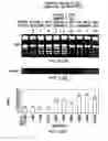 Fig. 56 - Isoforms of eIF-5A: senescence-induced eLF5A; wounding-induced eIF-4A; growth eIF-5A; and DHS
