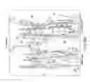 Fig. 71 - Isoforms of eIF-5A: senescence-induced eLF5A; wounding-induced eIF-4A; growth eIF-5A; and DHS
