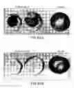 Fig. 87 - Isoforms of eIF-5A: senescence-induced eLF5A; wounding-induced eIF-4A; growth eIF-5A; and DHS