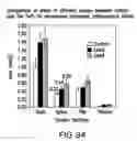 Fig. 98 - Isoforms of eIF-5A: senescence-induced eLF5A; wounding-induced eIF-4A; growth eIF-5A; and DHS