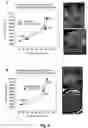 Fig. 09 - Methods for increasing the frequency of apomixis expression in angiosperms