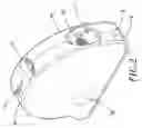 Fig. 03 - Refined laser leveler
