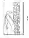 Fig. 10 - Multi-layer honeycomb sole