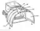 Fig. 01 - Bagging machine with a tunnel at least partially formed of flexible material
