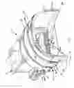 Fig. 06 - Bagging machine with a tunnel at least partially formed of flexible material