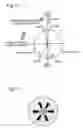Fig. 09 - Internal combustion engine of compressing and auto-igniting air-fuel mixture and method of controlling such internal combustion engine